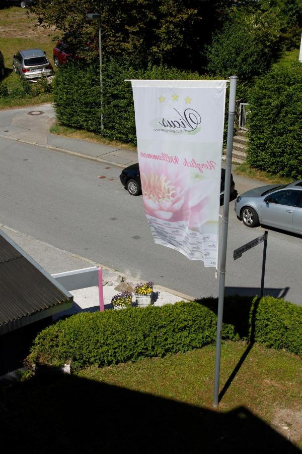 Discovering Comfort and Charm at Pension Vicus